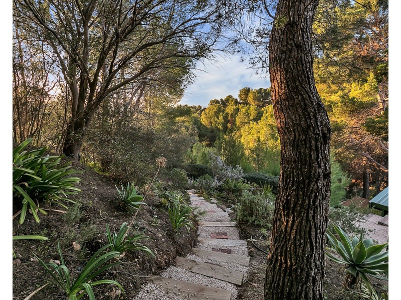 18 Weemala Drive, Mitcham SA 5062