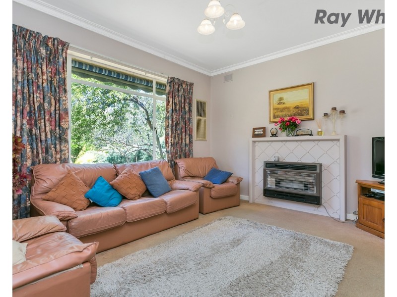 37 Minchinbury Terrace, Marion SA 5043
