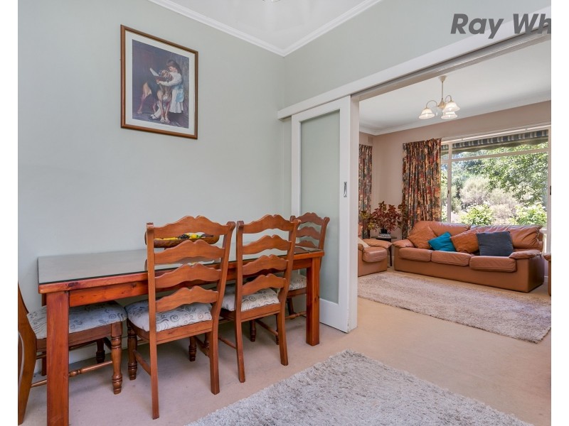 37 Minchinbury Terrace, Marion SA 5043