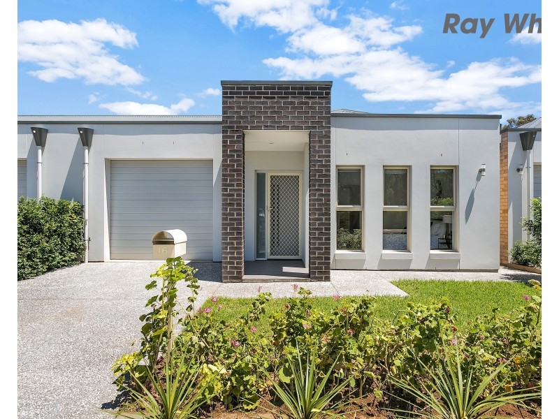 16 Midera Avenue, Edwardstown SA 5039
