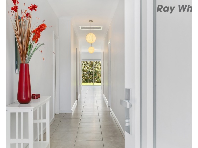 16 Midera Avenue, Edwardstown SA 5039