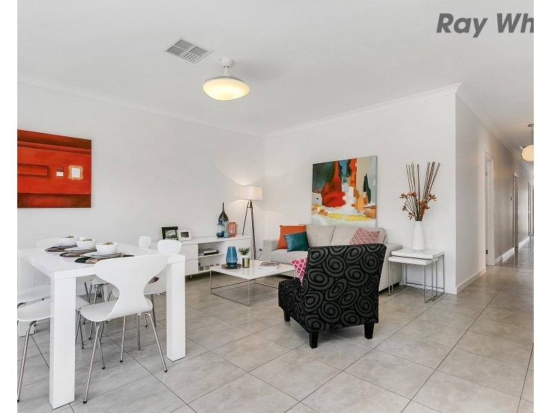 16 Midera Avenue, Edwardstown SA 5039