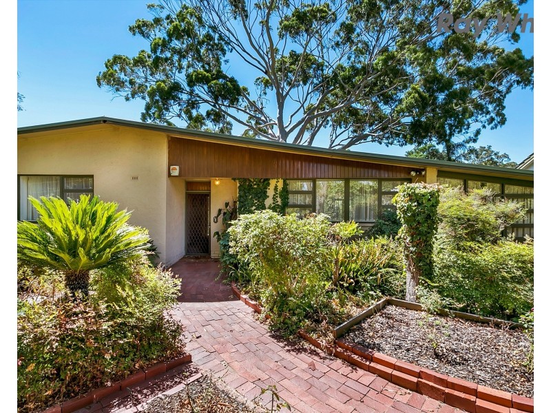 27 Bowden Grove, Oaklands Park SA 5046