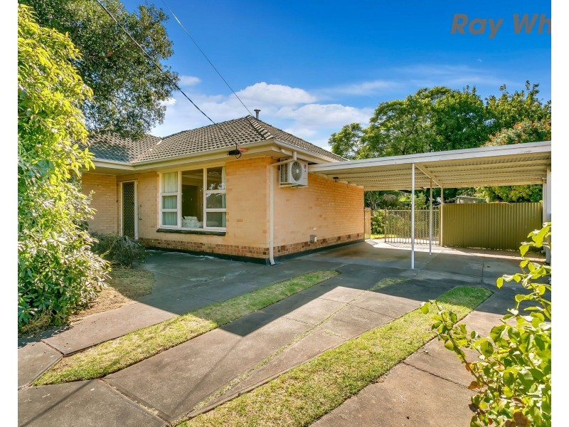 29 Oakleigh Road, Marion SA 5043