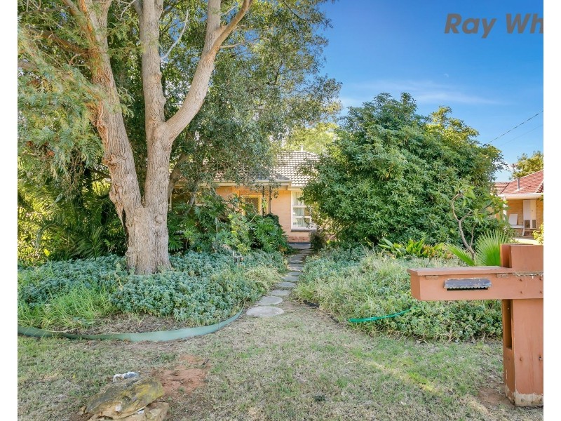 29 Oakleigh Road, Marion SA 5043