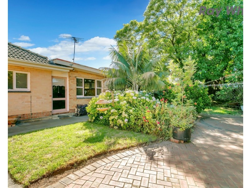 29 Oakleigh Road, Marion SA 5043