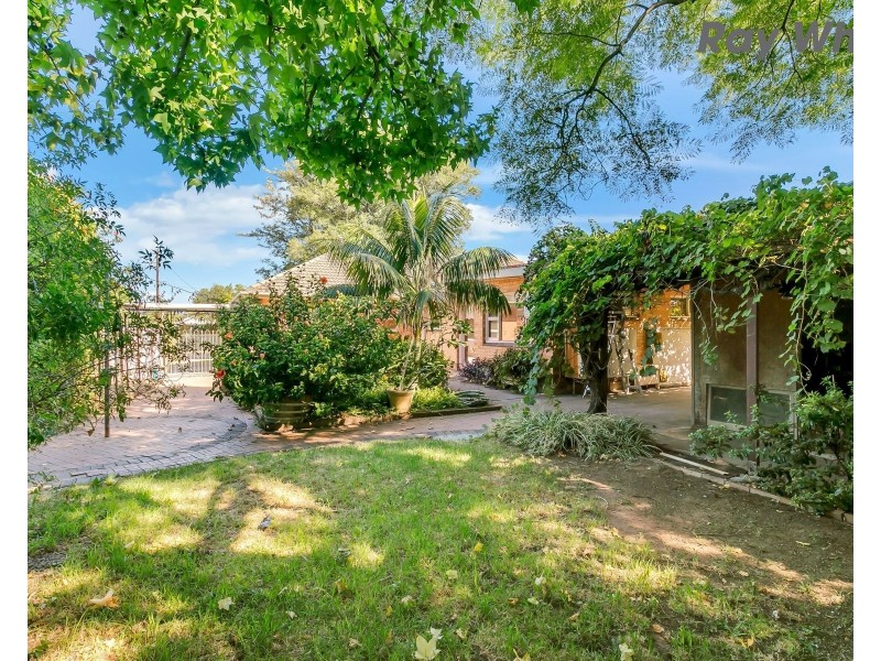 29 Oakleigh Road, Marion SA 5043