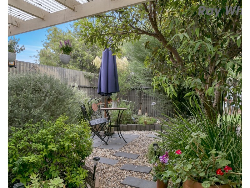 2/2 Brinkworth Street, South Plympton SA 5038