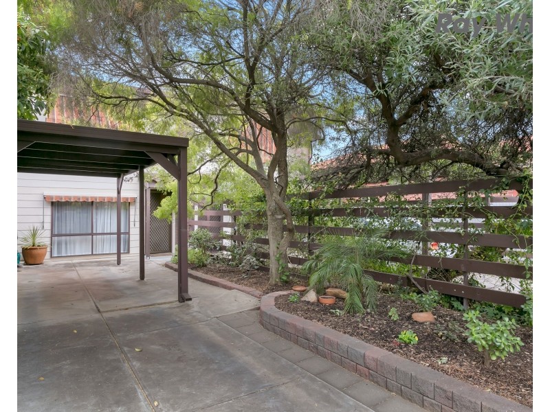 2/2 Brinkworth Street, South Plympton SA 5038