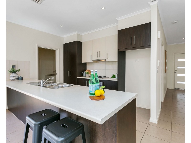 3 Dumbarton Avenue, Edwardstown SA 5039