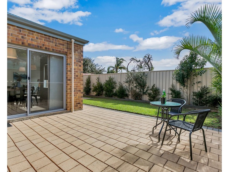 3 Dumbarton Avenue, Edwardstown SA 5039