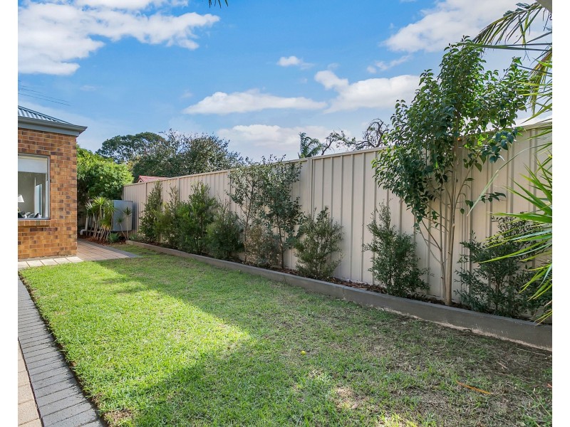 3 Dumbarton Avenue, Edwardstown SA 5039