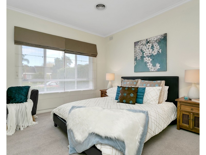 12 Clyde Street, Marion SA 5043