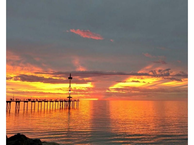 14 Preston Avenue, Brighton SA 5048