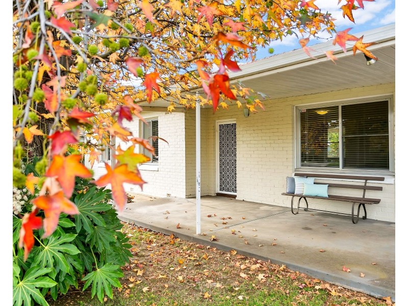 5 Salrak Avenue, Marion SA 5043