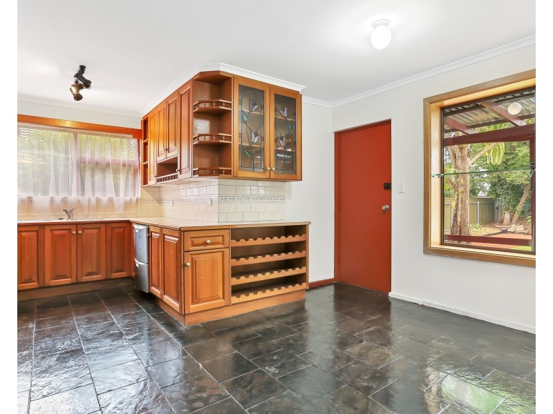 11 Shelley Avenue, Marion SA 5043
