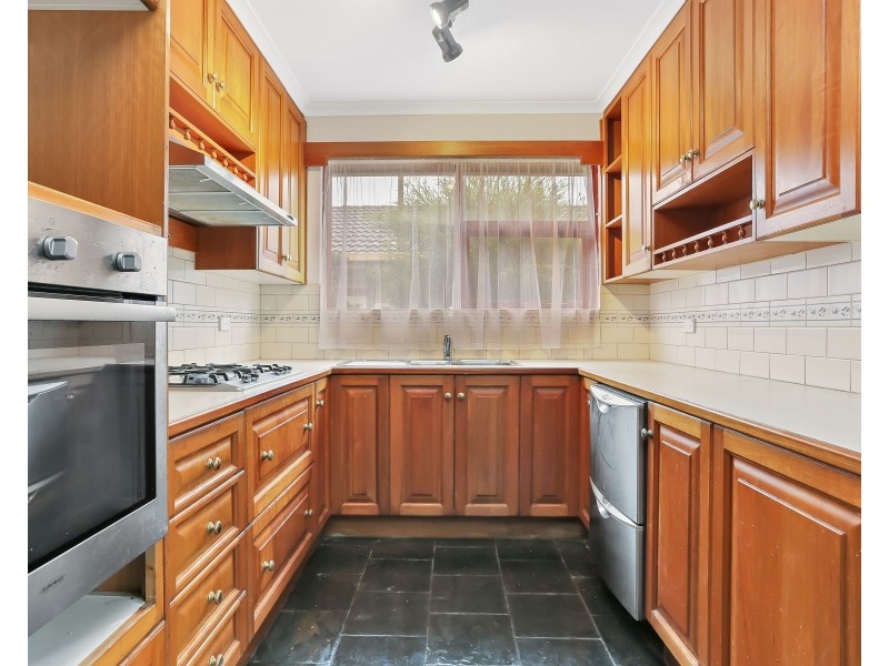 11 Shelley Avenue, Marion SA 5043