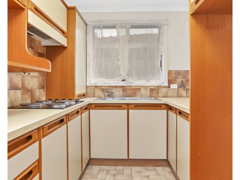 11 Shelley Avenue, Marion SA 5043
