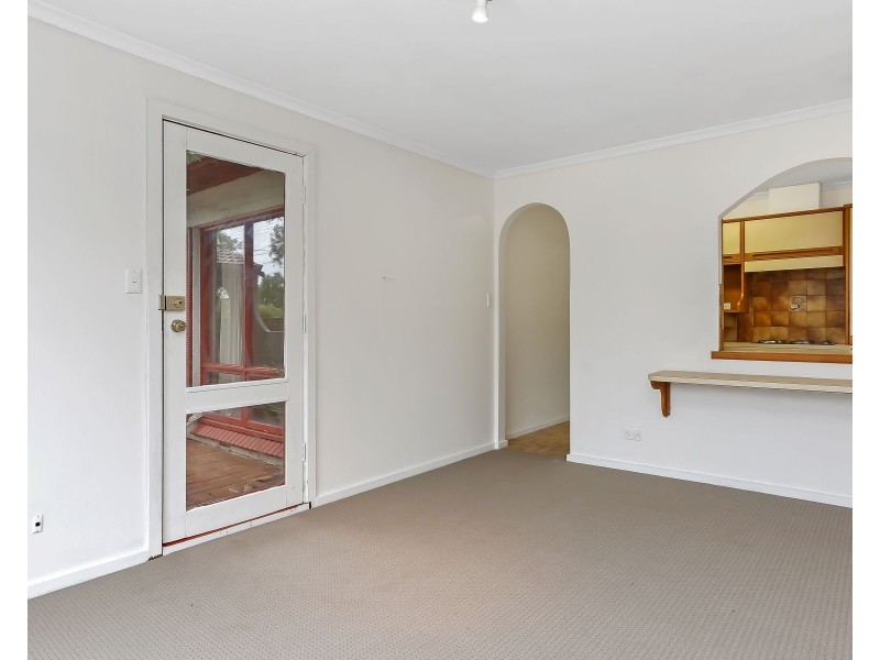 11 Shelley Avenue, Marion SA 5043