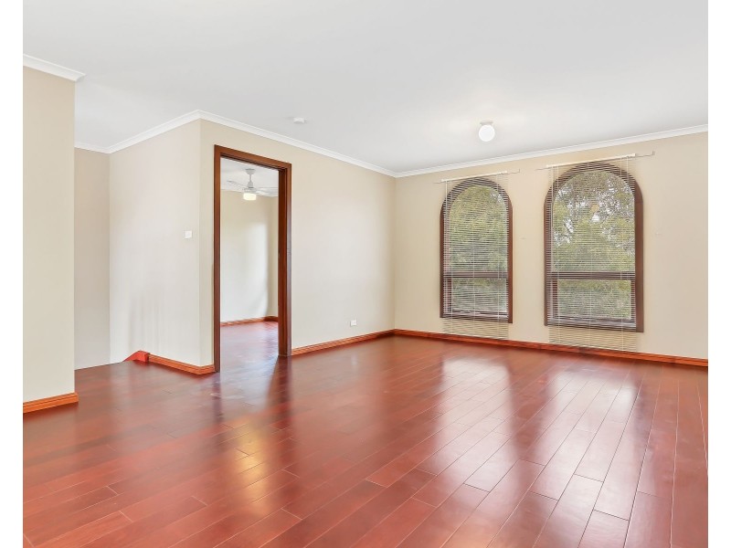 11 Shelley Avenue, Marion SA 5043