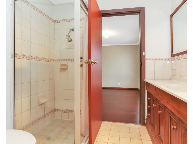 11 Shelley Avenue, Marion SA 5043