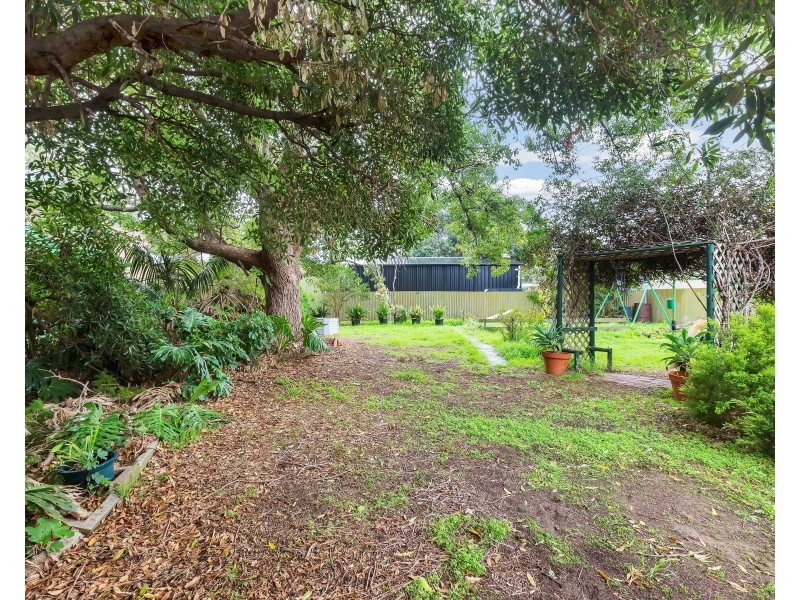 23 Dumbarton Avenue, Edwardstown SA 5039