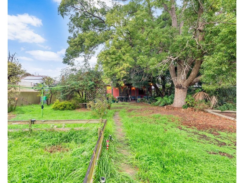23 Dumbarton Avenue, Edwardstown SA 5039
