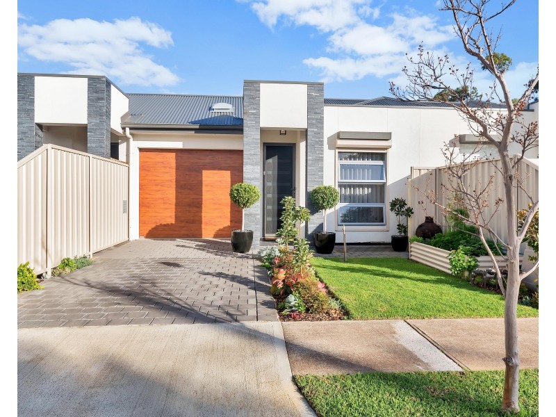 12B Trott Grove, Oaklands Park SA 5046