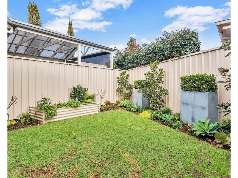 12B Trott Grove, Oaklands Park SA 5046