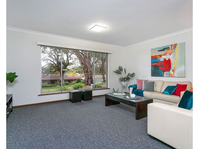 25 Clarence Street, Blackwood SA 5051