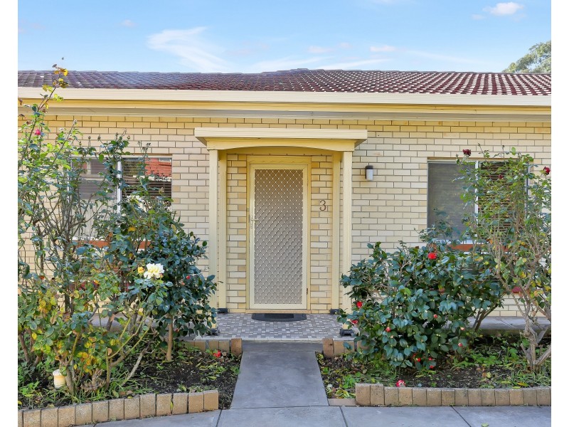3/10 Barry Road, Oaklands Park SA 5046