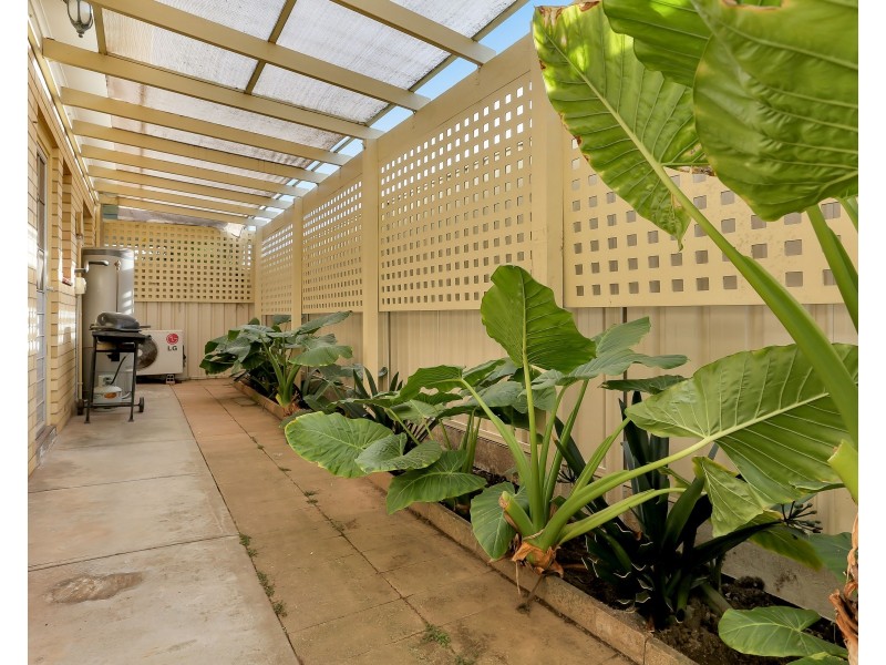 3/10 Barry Road, Oaklands Park SA 5046