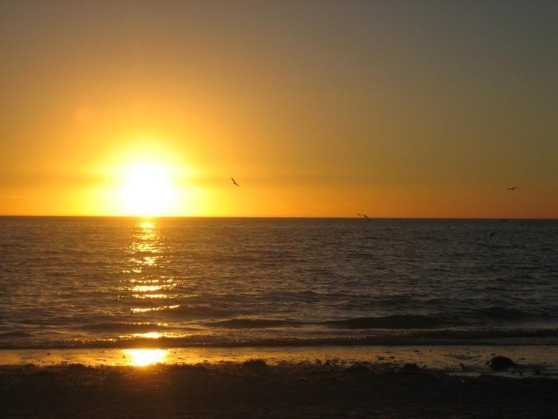 404-16 Holdfast Promenade, Glenelg SA 5045