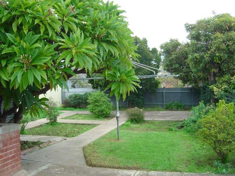 21 Wilson Street, Plympton Park SA 5038