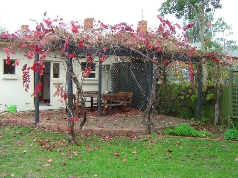 14 Frederick Street, Maylands SA 5069