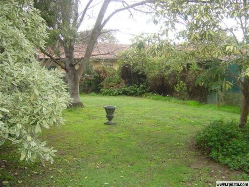 517 South Road, Ashford SA 5035