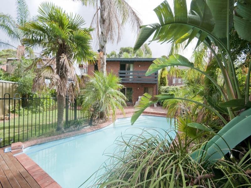 84 Birman Crescent, Flagstaff Hill SA 5159