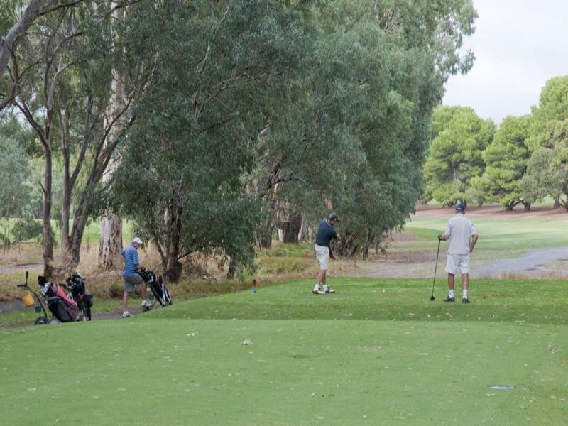 84 Birman Crescent, Flagstaff Hill SA 5159