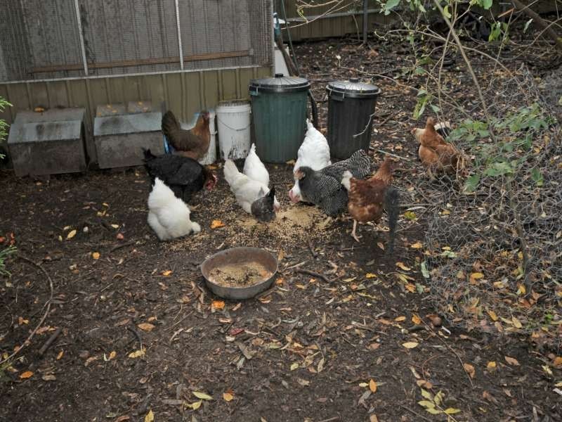 33 Frank Street, Vista SA 5091