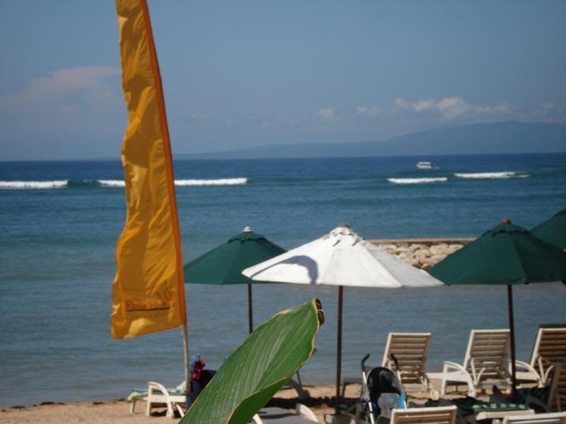 JL Tamblingan (Sanur Bali), Adelaide SA 5000