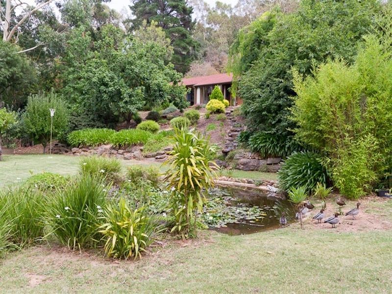 344 Main Road, Coromandel Valley SA 5051