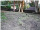 12 Berry Crescent, Burnside SA 5066