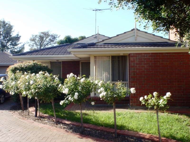 3/6 Prettejohn Court, Lockleys SA 5032