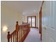 6 Dunk Crescent, Grange SA 5022
