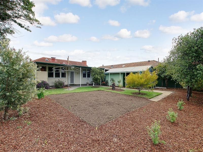 20 Whelan Avenue, Camden Park SA 5038