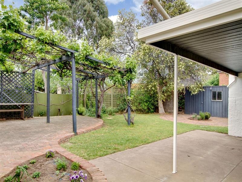 14 Frederick Street, Maylands SA 5069