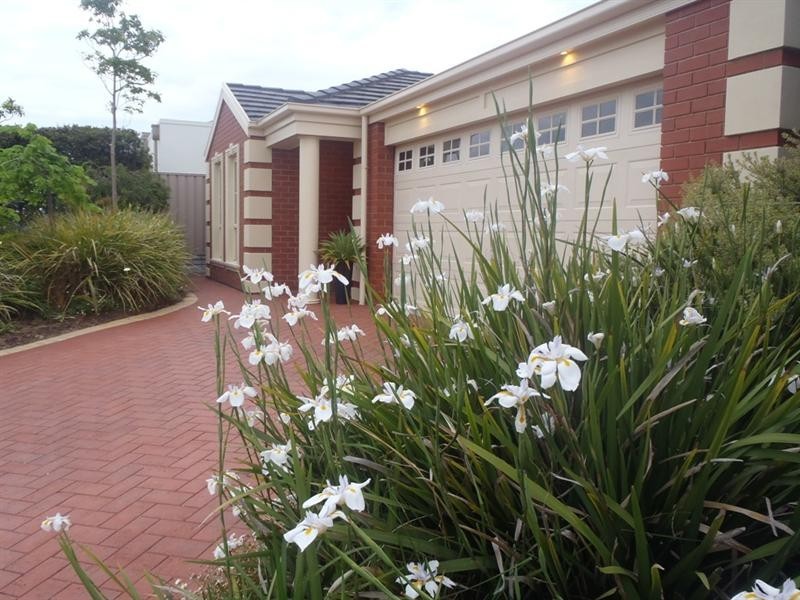 16 Mundulla Avenue, Woodcroft SA 5162