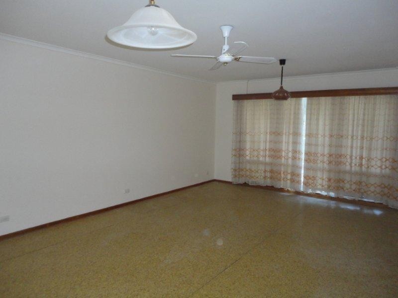 29 Celtic Avenue, Clovelly Park SA 5042