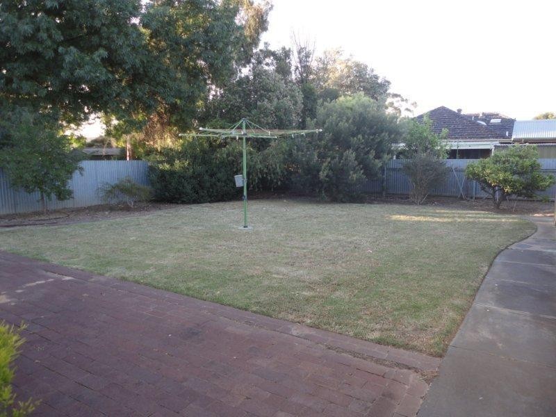 29 Celtic Avenue, Clovelly Park SA 5042