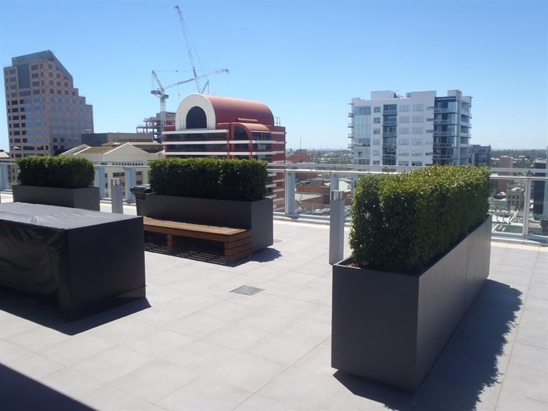 412/147 Pirie Street, Adelaide SA 5000